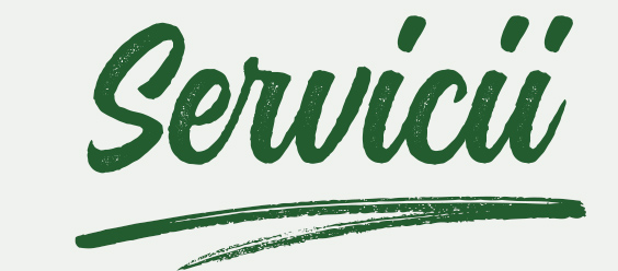 Servicii